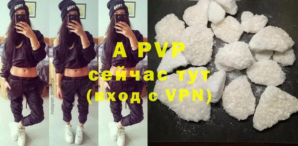 индика Баксан