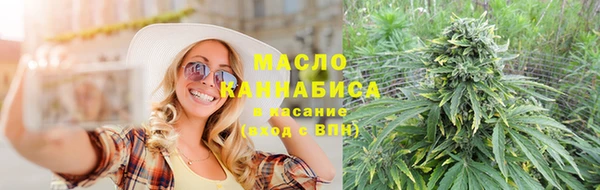 индика Баксан
